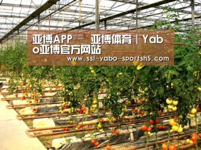 种植基地二