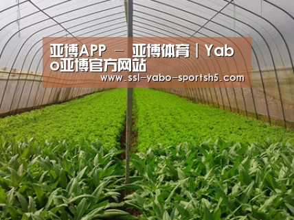种植基地四