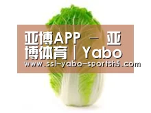 产品名称一(图1)