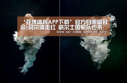 亚博体育登录